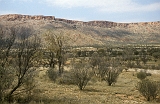 685_Landschap bij Alice Springs - Bij Simpsons Gap
